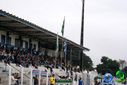 DSC09670.jpg