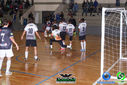 DSC03753.jpg