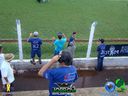 DSC08655.jpg
