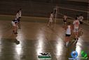 DSC04462.jpg
