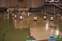 Filename=DSC04487.jpg
Filesize=92KiB
Dimensions=790x527
Date added=Sep 23, 2013 DSC04487.jpg
