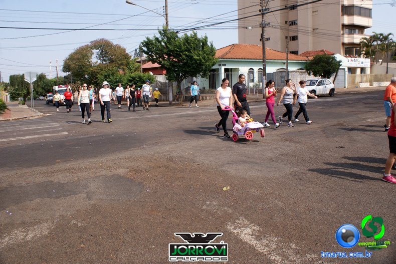 DSC04904.jpg