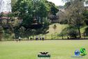 DSC05216.jpg