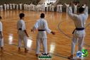 DSC04944.jpg
