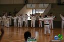 DSC04948.jpg