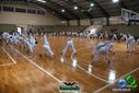 DSC04953.jpg