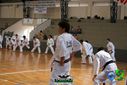 DSC04955.jpg