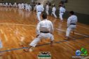 DSC04956.jpg