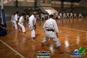 DSC04957.jpg
