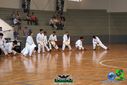 DSC04958.jpg