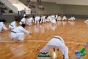 DSC04960.jpg