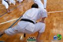 DSC04961.jpg