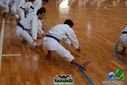 DSC04962.jpg