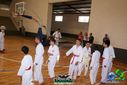 Filename=DSC05251.jpg
Filesize=93KiB
Dimensions=790x527
Date added=Sep 23, 2013 DSC05251.jpg