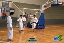 DSC05266.jpg