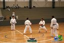 DSC05270.jpg