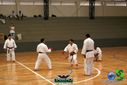 DSC05271.jpg