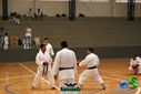 DSC05275.jpg