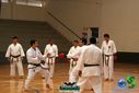 DSC05284.jpg