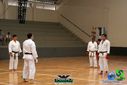 DSC05286.jpg