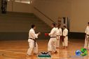 DSC05288.jpg