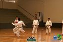 DSC05289.jpg
