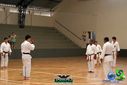 Filename=DSC05293.jpg
Filesize=92KiB
Dimensions=790x527
Date added=Sep 23, 2013 DSC05293.jpg