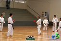 DSC05295.jpg