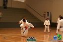 Filename=DSC05296.jpg
Filesize=83KiB
Dimensions=790x527
Date added=Sep 23, 2013 DSC05296.jpg
