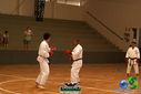 Filename=DSC05298.jpg
Filesize=90KiB
Dimensions=790x527
Date added=Sep 23, 2013 DSC05298.jpg