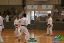 Filename=DSC05301.jpg
Filesize=84KiB
Dimensions=790x527
Date added=Sep 23, 2013 DSC05301.jpg