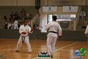 Filename=DSC05302.jpg
Filesize=90KiB
Dimensions=790x527
Date added=Sep 23, 2013 DSC05302.jpg