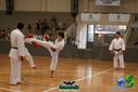 DSC05304.jpg