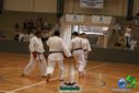 DSC05305.jpg