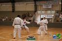 DSC05306.jpg