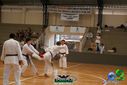 DSC05307.jpg