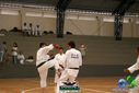 DSC05313.jpg