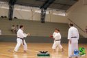 DSC05317.jpg