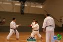 DSC05318.jpg
