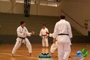 DSC05319.jpg