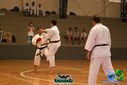 DSC05321.jpg