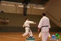 DSC05323.jpg