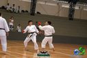 DSC05329.jpg