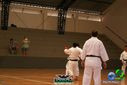 DSC05331.jpg