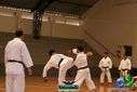 DSC05332.jpg