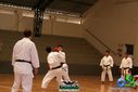 DSC05333.jpg