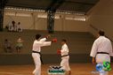 DSC05334.jpg