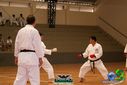 DSC05338.jpg