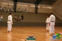 DSC05339.jpg