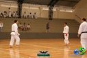 DSC05341.jpg